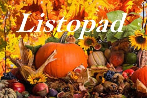 Działo się w listopadzie!!!